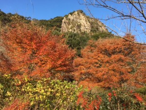 御船山楽園１